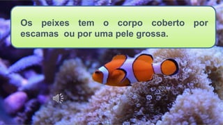 Os peixes tem o corpo coberto por
escamas ou por uma pele grossa.
 