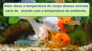 Além disso a temperatura do corpo desses animais
varia de acordo com a temperatura do ambiente.
 