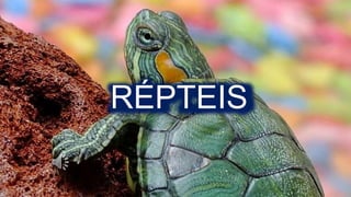 RÉPTEIS
 
