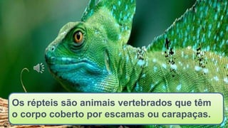 Os répteis são animais vertebrados que têm
o corpo coberto por escamas ou carapaças.
 