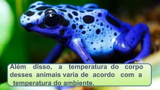 Além
desses
disso, a temperatura do
animais varia de acordo
corpo
com a
temperatura do ambiente.
 