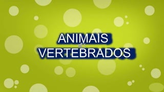ANIMAIS
VERTEBRADOS
 