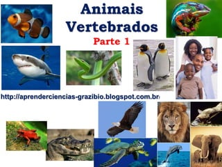 Animais
Vertebrados
Parte 1
http://aprenderciencias-grazibio.blogspot.com.br/
 