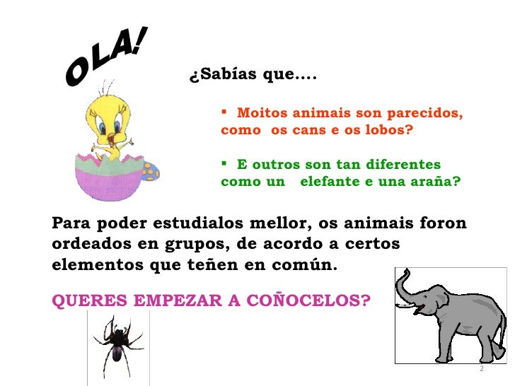 Anim Ai S Vertebrados E Invertebrados