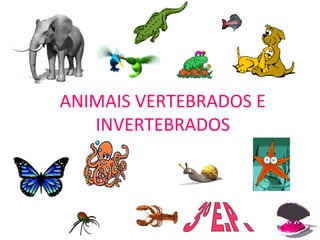 1
ANIMAIS VERTEBRADOS E
INVERTEBRADOS
 