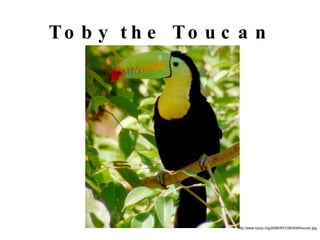 Drawing Time! Armadillo Deer 