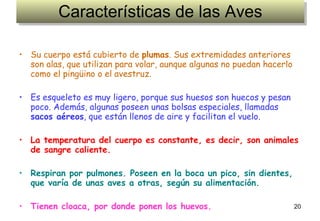 Características de las Aves Su cuerpo está cubierto de  plumas . Sus extremidades anteriores son alas, que utilizan para volar, aunque algunas no puedan hacerlo como el pingüino o el avestruz.  Es esqueleto es muy ligero, porque sus huesos son huecos y pesan poco. Además, algunas poseen unas bolsas especiales, llamadas  sacos aéreos , que están llenos de aire y facilitan el vuelo.   La temperatura del cuerpo es constante, es decir, son animales de sangre caliente.  Respiran por pulmones. Poseen en la boca un pico, sin dientes, que varía de unas aves a otras, según su alimentación.   Tienen cloaca, por donde ponen los huevos. 