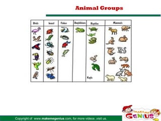 Animal Groups




Copyright of www.makemegenius.com, for more videos ,visit us.
 