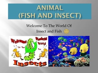 Welcome To The World Of
     Insect and Fish
 