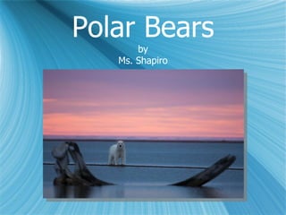 Polar Bears by Ms. Shapiro 