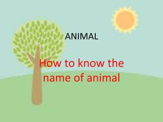 ANIMAL
How to know the
name of animal
 