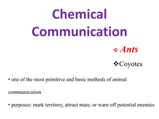 Chemical
Communication
• one of the most primitive and basic methods of animal
communication
• purposes: mark territory, attract mate, or warn off potential enemies
 Ants
Coyotes
 