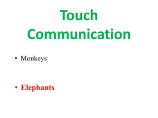 Touch
Communication
• Monkeys
• Elephants
 