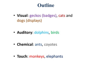• Visual: geckos (badges), cats and
dogs (displays)
• Auditory: dolphins, birds
• Chemical: ants, coyotes
• Touch: monkeys, elephants
Outline
 