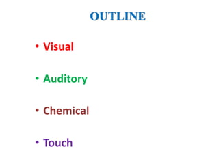 • Visual
• Auditory
• Chemical
• Touch
OUTLINE
 