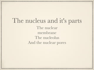 The nucleus and it's parts
The nuclear
membrane
The nucleolus
And the nuclear pores

 