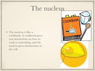 The nucleus

The nucleus is like a
cookbook. A cookbook gives
you instructions on how to
cook to something, and the
nucleus gives instructions to
the cell.

 