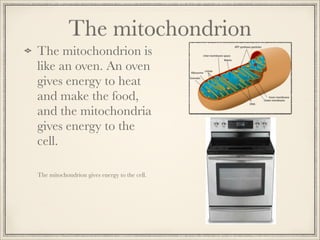 The mitochondrion
The mitochondrion is
like an oven. An oven
gives energy to heat
and make the food,
and the mitochondria
gives energy to the
cell.
The mitochondrion gives energy to the cell.

 