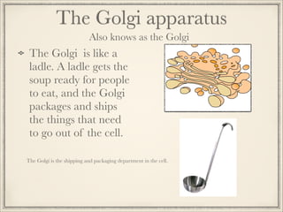 The Golgi apparatus
Also knows as the Golgi

The Golgi is like a
ladle. A ladle gets the
soup ready for people
to eat, and the Golgi
packages and ships
the things that need
to go out of the cell.
The Golgi is the shipping and packaging department in the cell.

 