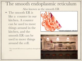 The smooth endoplasmic reticulum
Also known as the smooth ER

The smooth ER is
like a counter in our
kitchen. A counter
can be used to move
things around in the
kitchen, and the
smooth ER can be
used to move things
around the cell.

The smooth ER serves as a pathway through the
cell.

 