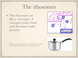 The ribosomes
The ribosomes are
like a saucepan. A
saucepan makes food,
and ribosomes make
proteins.

Ribosomes are little ﬁgures in a cell that stick onto the
rough endoplasmic reticulum and make proteins.

 