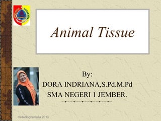 Animal Tissue
By:
DORA INDRIANA,S.Pd.M.Pd
SMA NEGERI 1 JEMBER.
ds/biologi/smasa 2013

 