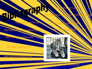 Bibliography http://aspcacommunity.ning.com/ http://home.nc.rr.com/fbrack/ http://advocacy.britannica.com/blog/advocacy http://www.paw-rescue.org/ http://profile.myspace.com/index.cfm?fuseaction=user.viewprofile&friendid http://lightmix.blogspot.com/ http://lightmix.blogspot.com/ http://www.pets747.com/ http://www.secretlakedogtraining.com/ http://thhs.org/about.htm 