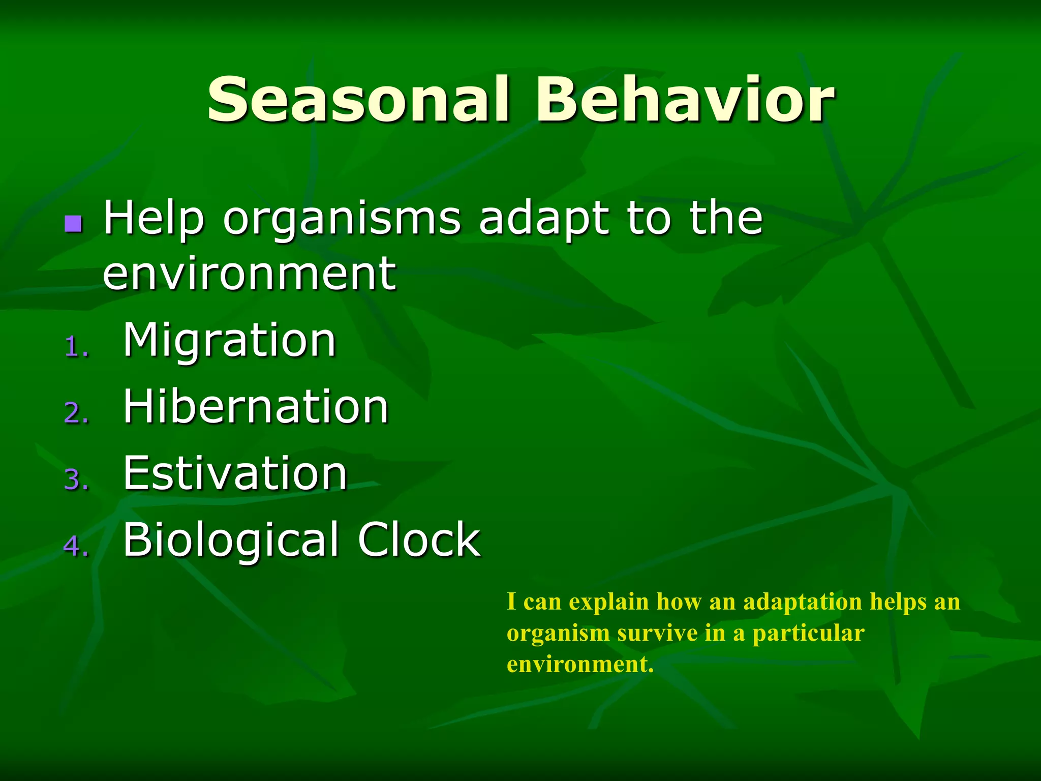 animal-adaptations-2.ppt