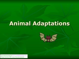 Animal Adaptations Powerpoint hosted on  www. worldofteaching .com Please visit for 100’s more free powerpoints 