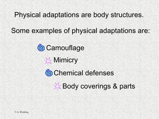© A. Weinberg
Physical adaptations are body structures.
Some examples of physical adaptations are:
Camouflage
Mimicry
Body coverings & parts
Chemical defenses
 