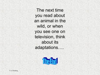 © A. Weinberg
The next time
you read about
an animal in the
wild, or when
you see one on
television, think
about its
adaptations….
 