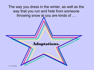 © A. Weinberg
The way you dress in the winter, as well as the
way that you run and hide from someone
throwing snow at you are kinds of …
Adaptations.
 