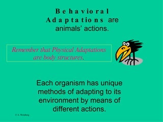 Each organism has unique methods of adapting to its environment by means of different actions. Behavioral Adaptations  are animals’ actions. Remember that Physical Adaptations are body structures . 