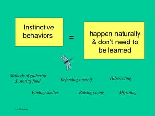 Instinctive behaviors  happen naturally & don’t need to be learned =   Finding shelter Methods of gathering & storing food  Defending oneself Raising young Hibernating  Migrating 