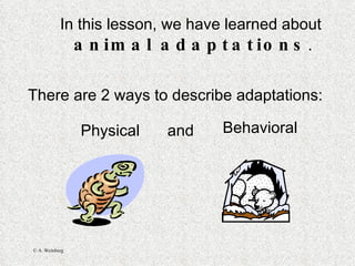 In this lesson, we have learned about  animal adaptations . There are 2 ways to describe adaptations: Physical and Behavioral 
