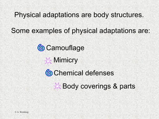 Physical adaptations are body structures. Some examples of physical adaptations are:  Camouflage Mimicry Body coverings & parts Chemical defenses 