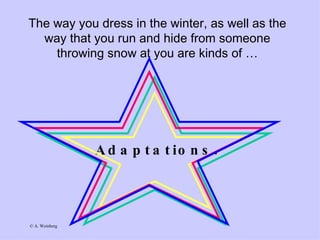 The way you dress in the winter, as well as the way that you run and hide from someone throwing snow at you are kinds of … Adaptations. 