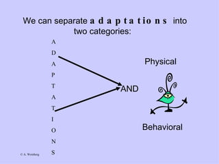 We can separate  adaptations  into two categories:  Physical AND Behavioral A D A P T A T I O N S 