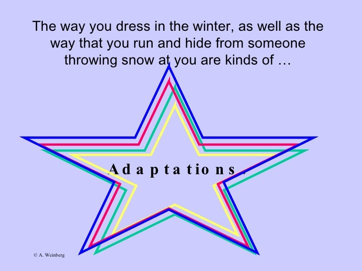 Animal adaptations Slide 5