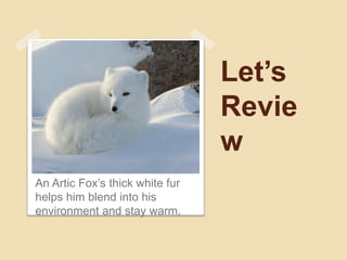 Let’s
Revie
w
An Artic Fox’s thick white fur
helps him blend into his
environment and stay warm.
 