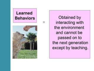 Obtained by
interacting with
the environment
and cannot be
passed on to
the next generation
except by teaching.
Learned
Behaviors
=
 