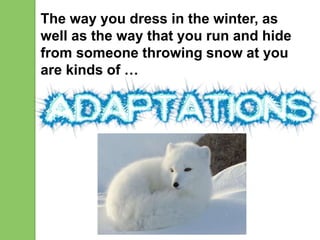 The way you dress in the winter, as
well as the way that you run and hide
from someone throwing snow at you
are kinds of …
 