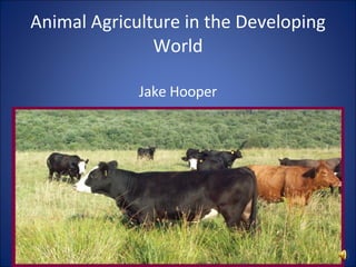 Animal Agriculture in the Developing World Jake Hooper 