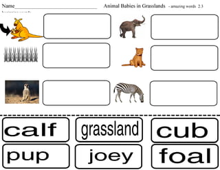 Reading- Unit 2- Animal Babies in Grasslands- Amazing Words