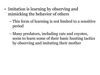 Imitating Behavior animal-behavior-PowerPoint.ppt