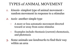 animal-behavior-PowerPoint.ppt