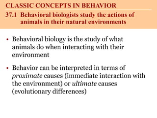 • Behavioral biology is the study of what
animals do when interacting with their
environment
• Behavior can be interpreted in terms of
proximate causes (immediate interaction with
the environment) or ultimate causes
(evolutionary differences)
37.1 Behavioral biologists study the actions of
animals in their natural environments
CLASSIC CONCEPTS IN BEHAVIOR
 