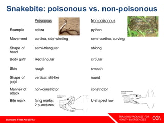 Animal-Bites-and-Stings ppt by the Philippine National Red Cross.pptx