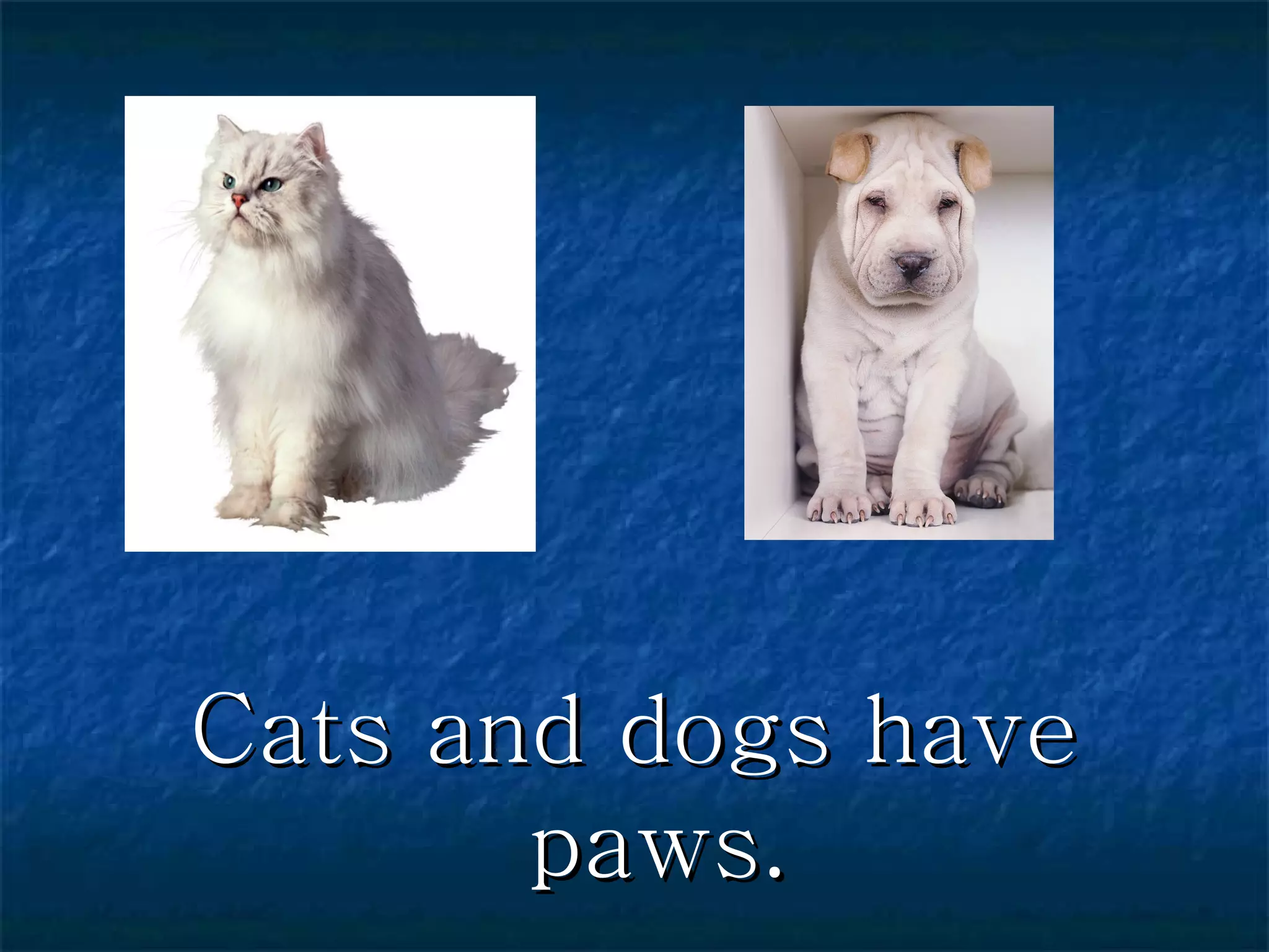 Cats and dogs have paws. 