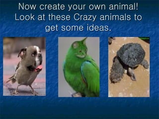 Animal body-parts